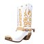 Colección de cinco modelos 3D de botas vaqueras del oeste, listos para videojuegos (PBR).