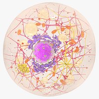 Beige Fat Cell