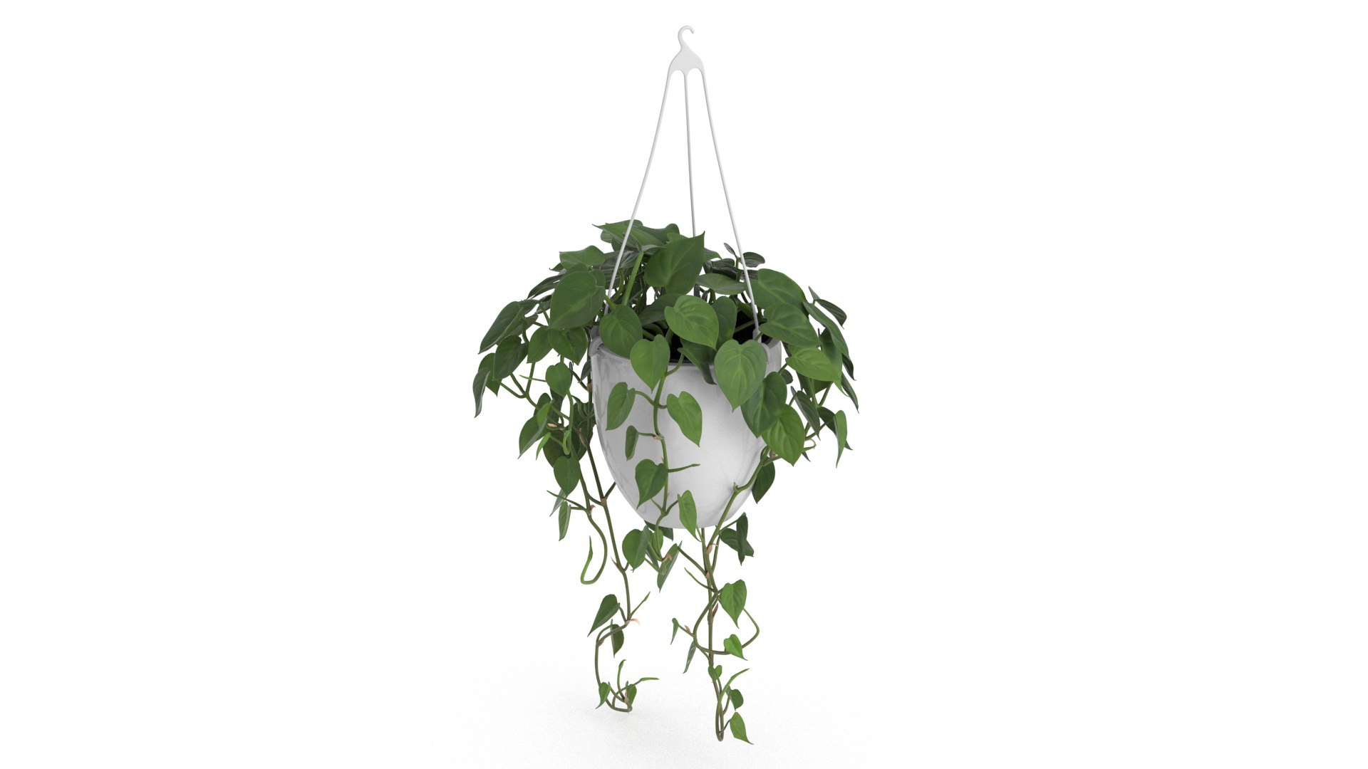 Hanging Potted Plant 3D model preview