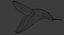 Blue Whale  Animated