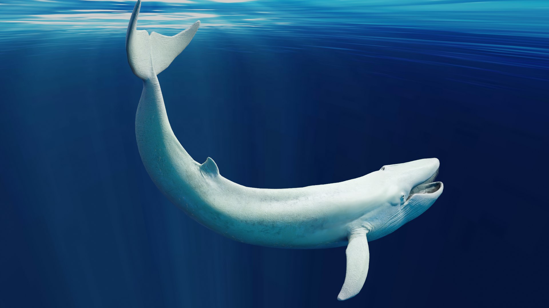 Blue Whale Variants Animated 3D https://p.turbosquid.com/ts-thumb/Wk/F3jLEb/XL/albino3/png/1661754750/1920x1080/fit_q87/280c435823af55f9069dc82315663f87a3d5dd9b/albino3.jpg