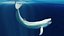 Blue Whale  Animated