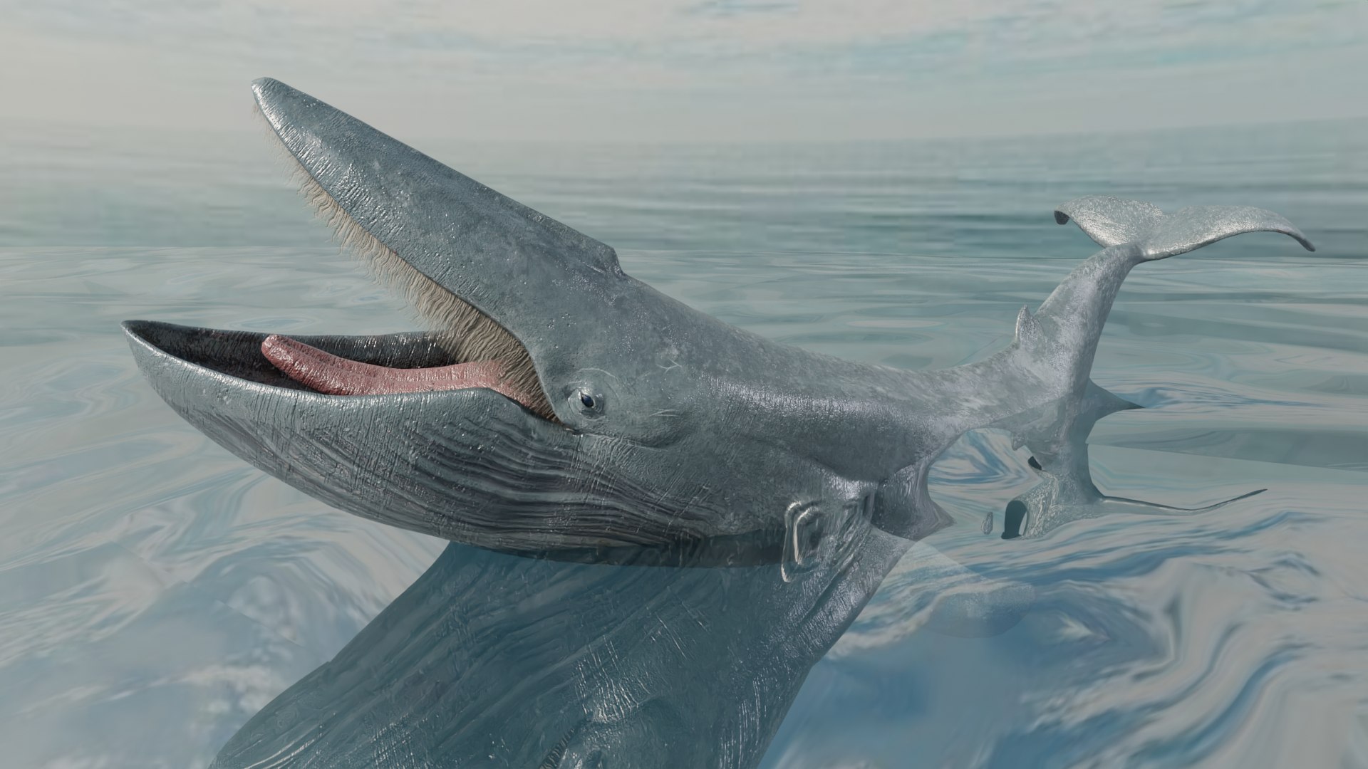 Blue Whale Variants Animated 3D https://p.turbosquid.com/ts-thumb/Wk/F3jLEb/YQ/kkkkkkkk/png/1662439579/1920x1080/fit_q87/8a02686853d4c86ee95489e7d276009b703ef1ad/kkkkkkkk.jpg