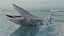 Blue Whale  Animated