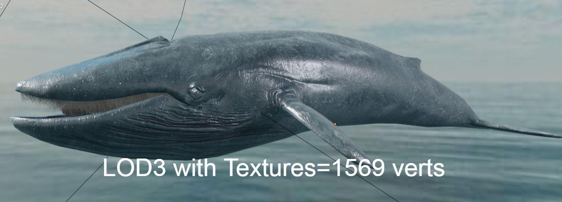 Blue Whale Variants Animated 3D https://p.turbosquid.com/ts-thumb/Wk/F3jLEb/dq/uuuuuuu/png/1662184453/1920x1080/fit_q87/6f7cdb616bbfcfdd04c76aaaecbb3f185fe456c1/uuuuuuu.jpg