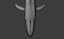 Blue Whale  Animated