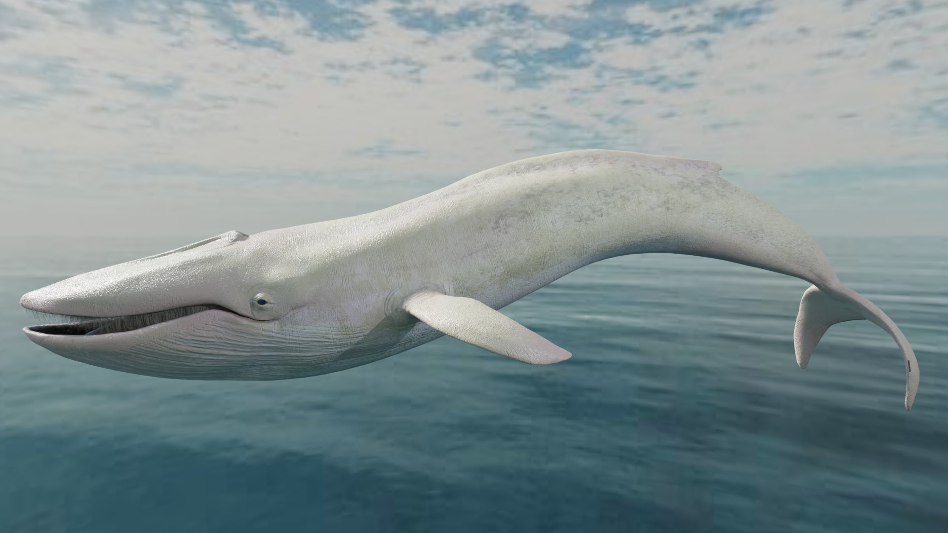 Blue Whale Variants Animated 3D https://p.turbosquid.com/ts-thumb/Wk/F3jLEb/w8/alviamnf/png/1661754755/1920x1080/fit_q87/971cfad682b1aea657a0cc532013fd9daa19a9f3/alviamnf.jpg