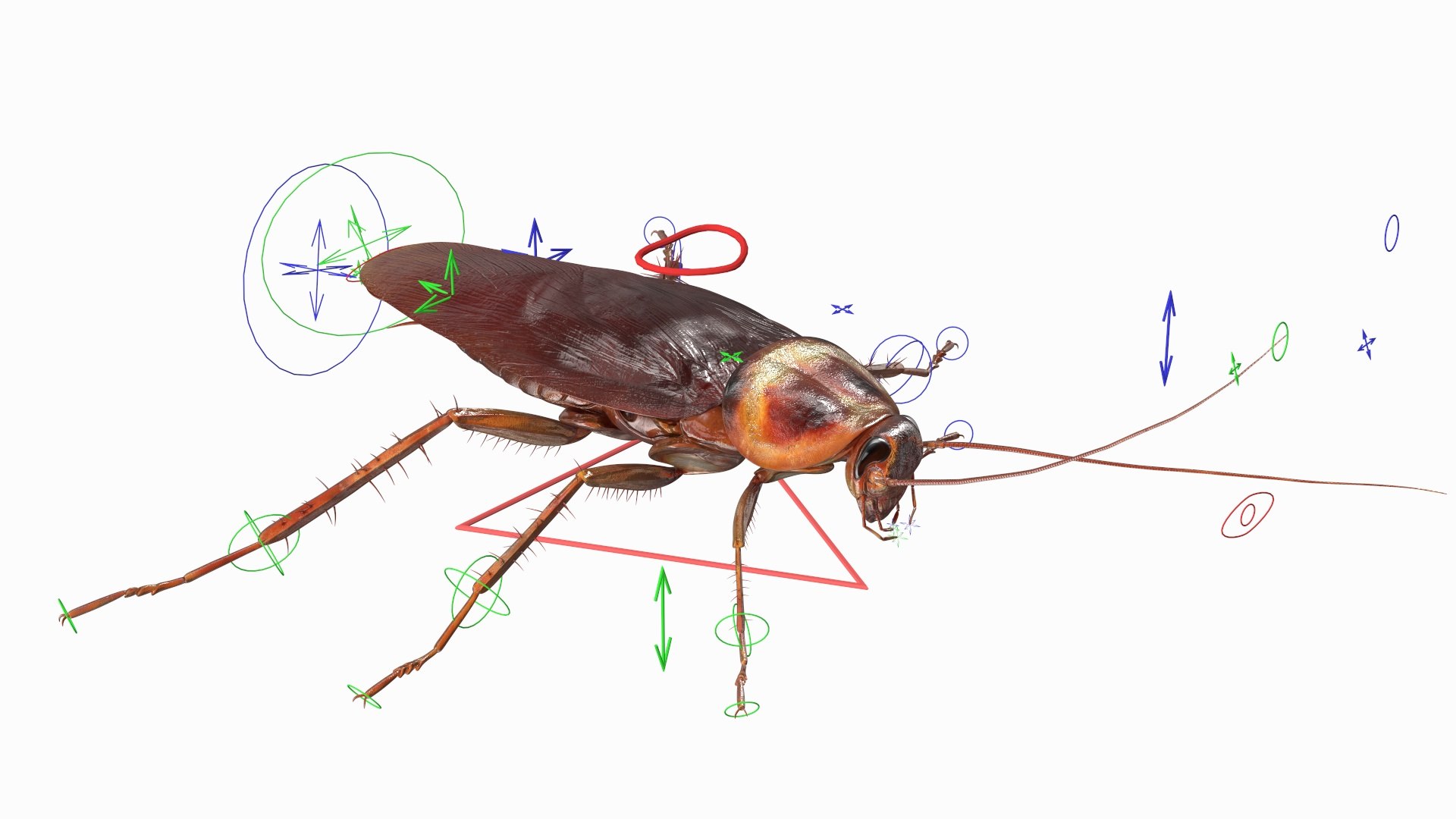 Red Flying Cockroach Rigged 3D model - TurboSquid 2068900