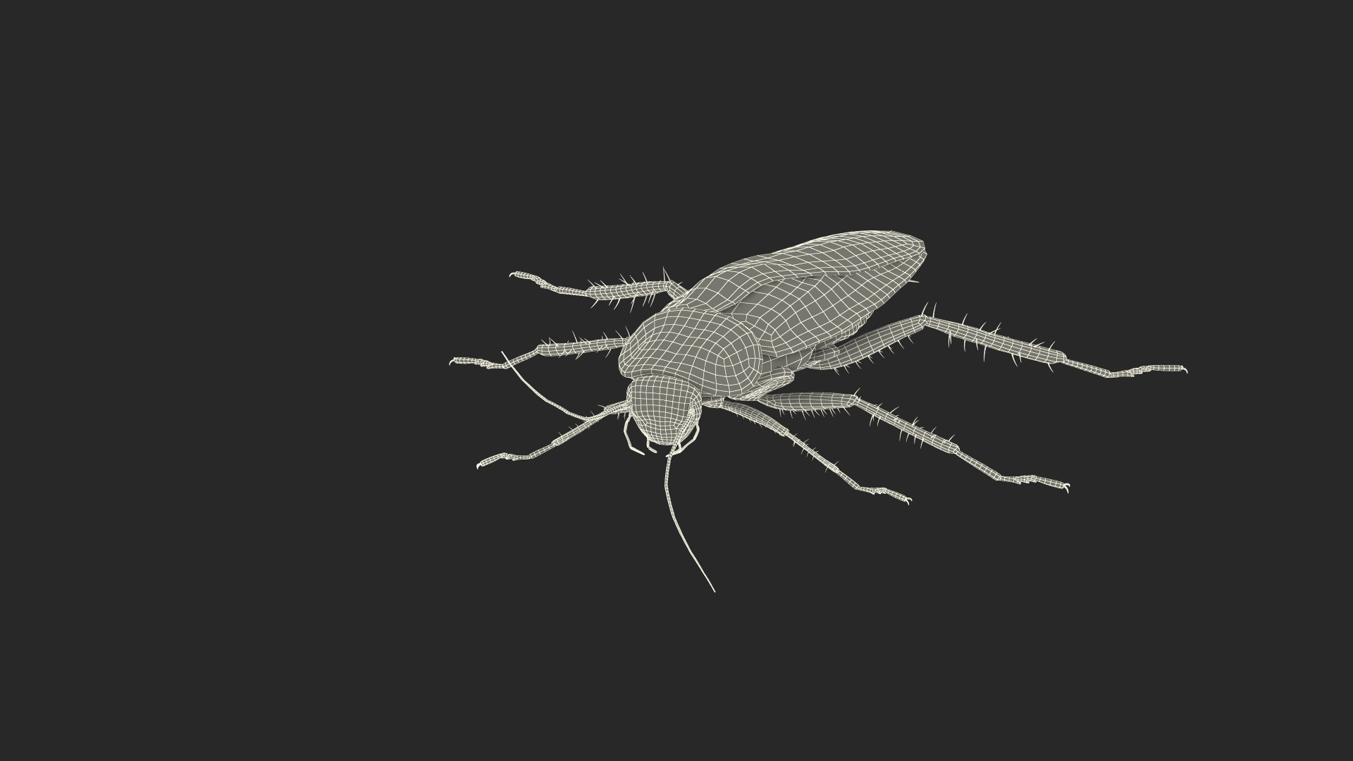 Red Flying Cockroach Rigged 3D Model TurboSquid 2068900