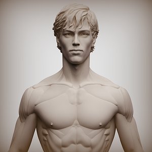 3D Anatomy normal man constructor