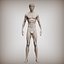 3D Anatomy normal man constructor