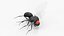 3D Vinegar Fly Dead Black