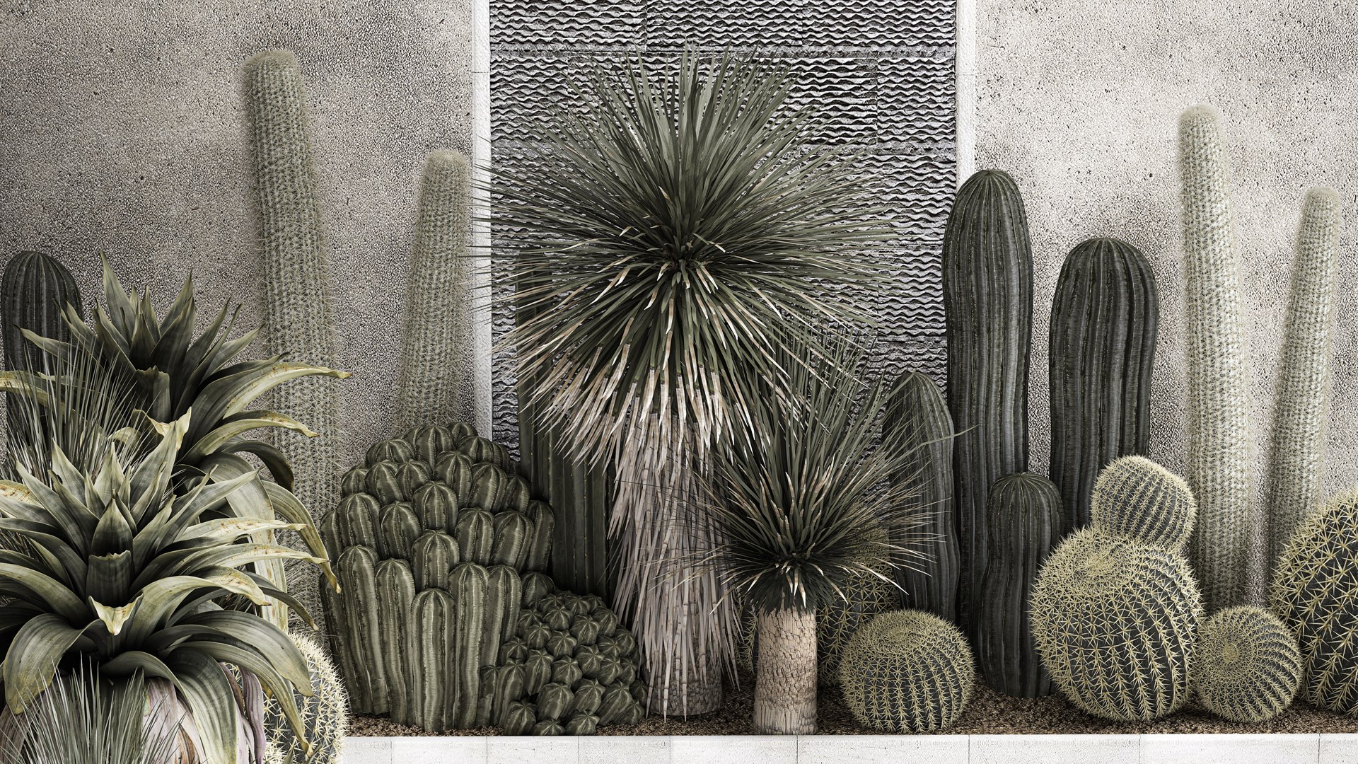 Collection Of Tropical Desert Plants 1126 model https://p.turbosquid.com/ts-thumb/Wk/UIjnr8/DE/1plantset2709202207/jpg/1664452434/1920x1080/fit_q87/b2eaebf00ef8369255b0a9b256ac1ca51e6952ba/1plantset2709202207.jpg