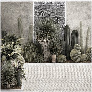 Collection Of Tropical Desert Plants 1126