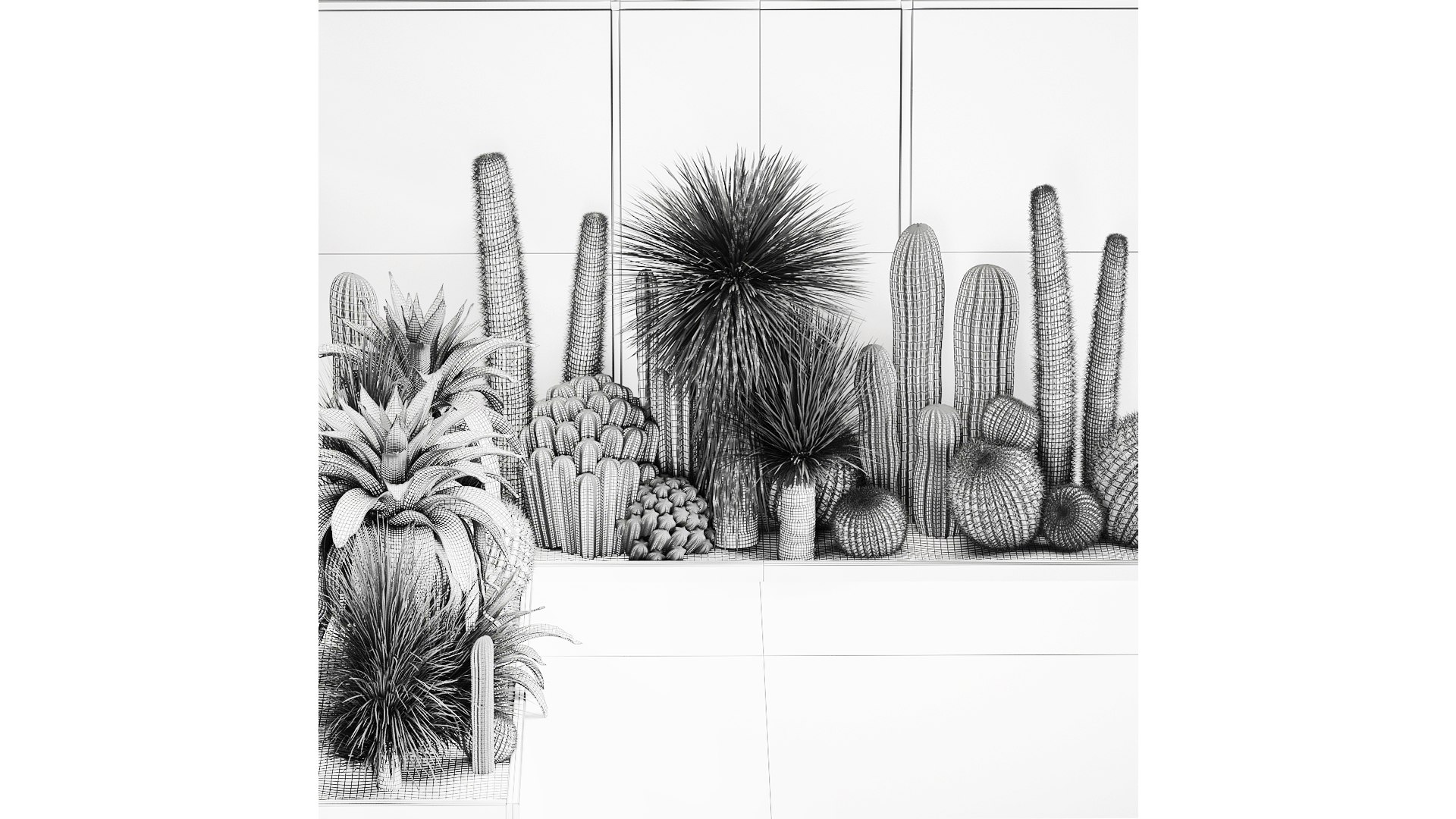 Collection Of Tropical Desert Plants 1126 model https://p.turbosquid.com/ts-thumb/Wk/UIjnr8/tc/1plantset2709202209/jpg/1664452433/1920x1080/fit_q87/e9f13571cfb9cfe74498ad54e56433f36a4a3f21/1plantset2709202209.jpg