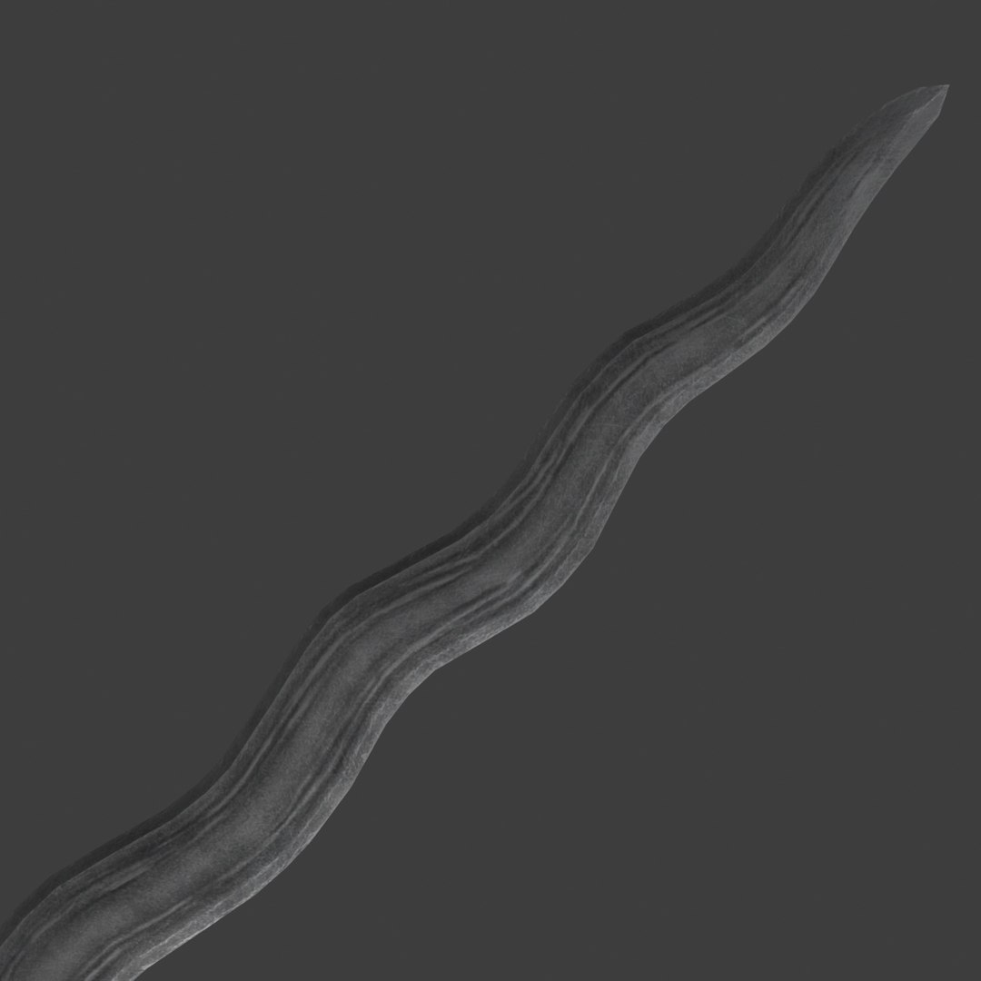 indonesian kris dagger 3d model https://p.turbosquid.com/ts-thumb/Wk/UyuE5K/GPpTTTeM/k_dagger_9/jpg/1485090437/1920x1080/fit_q87/b0d4bc47e1702dbbb4c74049226f62e1d24a4a03/k_dagger_9.jpg