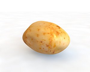 potato 3D model