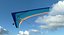 Flexible Wing Hang Glider