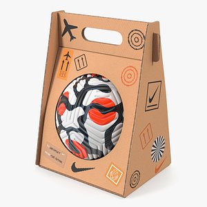 Package with Nike Flight Ball 2021