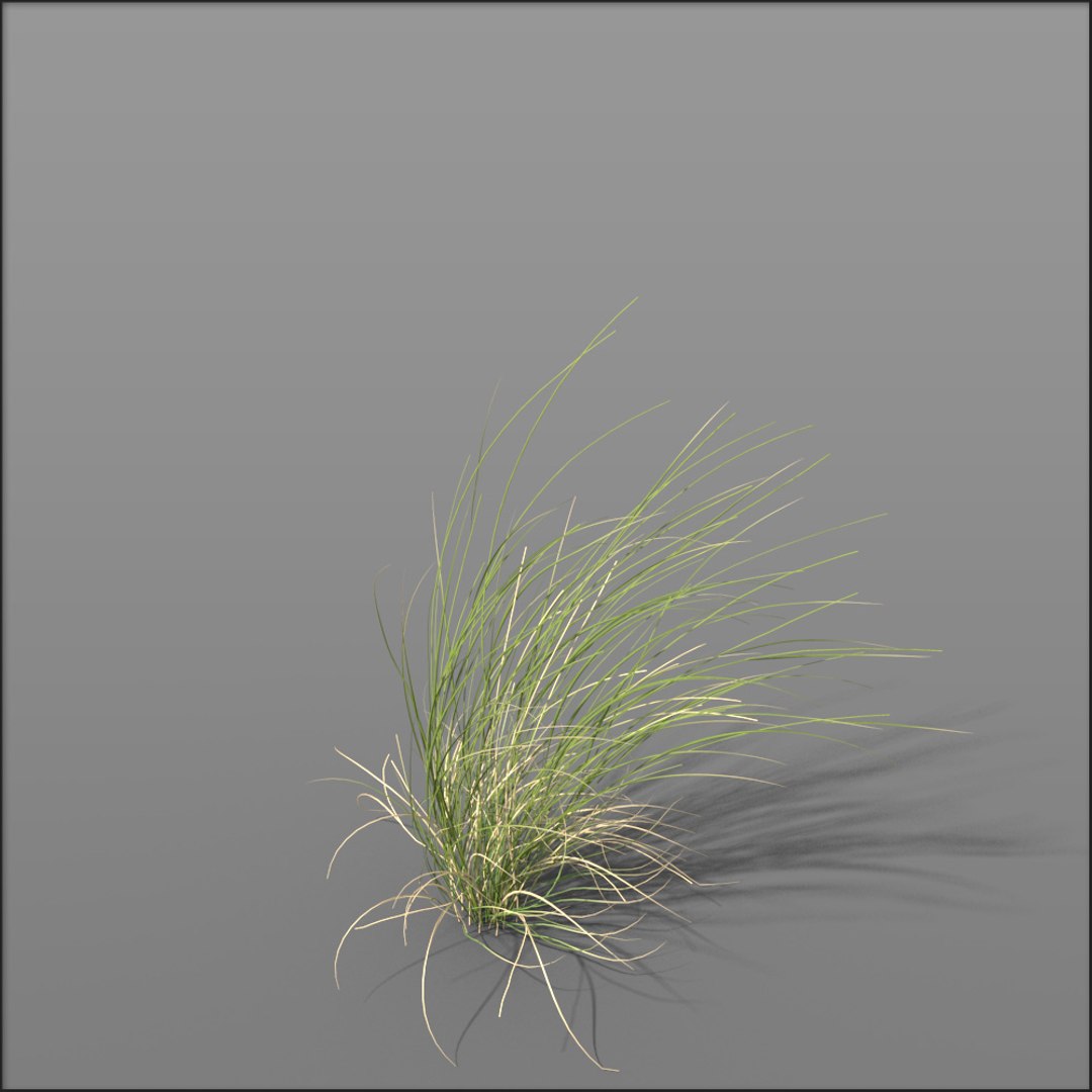Grass Dune Grass2 3d Model