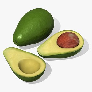 avocado fruit persea 3d max