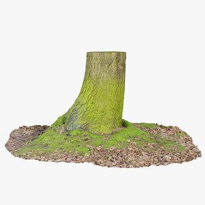 Moss Bark Tree Stump Remastered