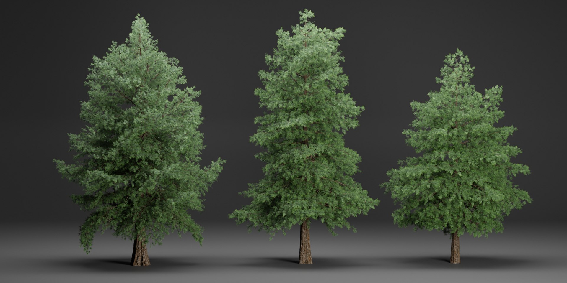 Conifer Trees Vol 78-Blender-3dmodel Model - TurboSquid 2241722