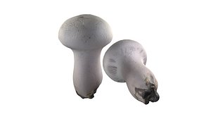 Mushroom 22 3D model