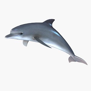 3ds dolphin porpoise