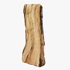 Scanned Tree Wood 01 3D