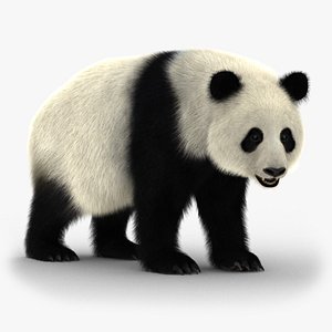 Giant Panda (2) (Animated) (Fur)