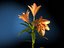 XfrogPlants Flores 2 Biblioteca