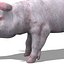 PIG 모델 조작 됨