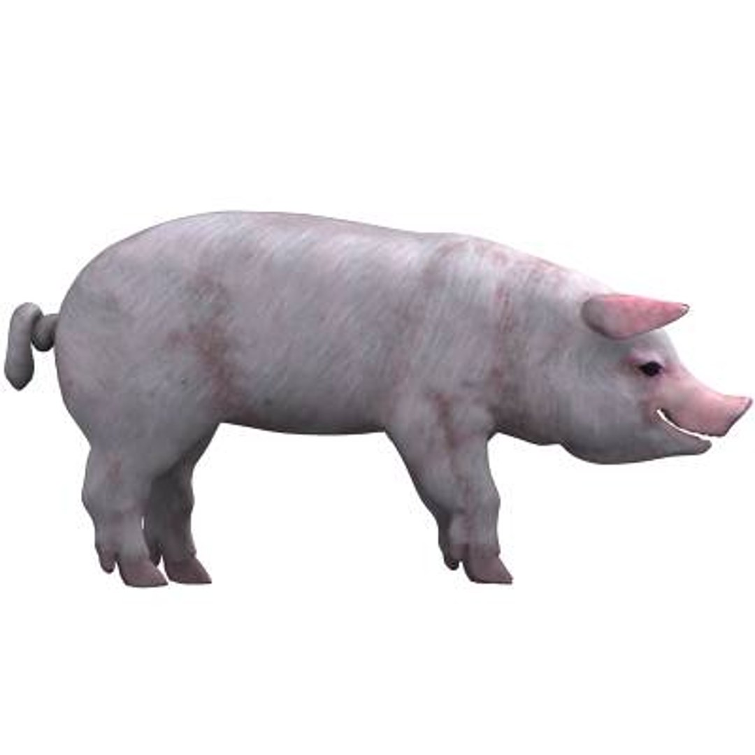 3d x pig rigged https://p.turbosquid.com/ts-thumb/Wl/feLlwV/XPd3G4wg/pig02/jpg/1170171180/1920x1080/fit_q87/7549fc809eae28d8102c75384acc925d74a66252/pig02.jpg