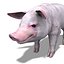 PIG 모델 조작 됨