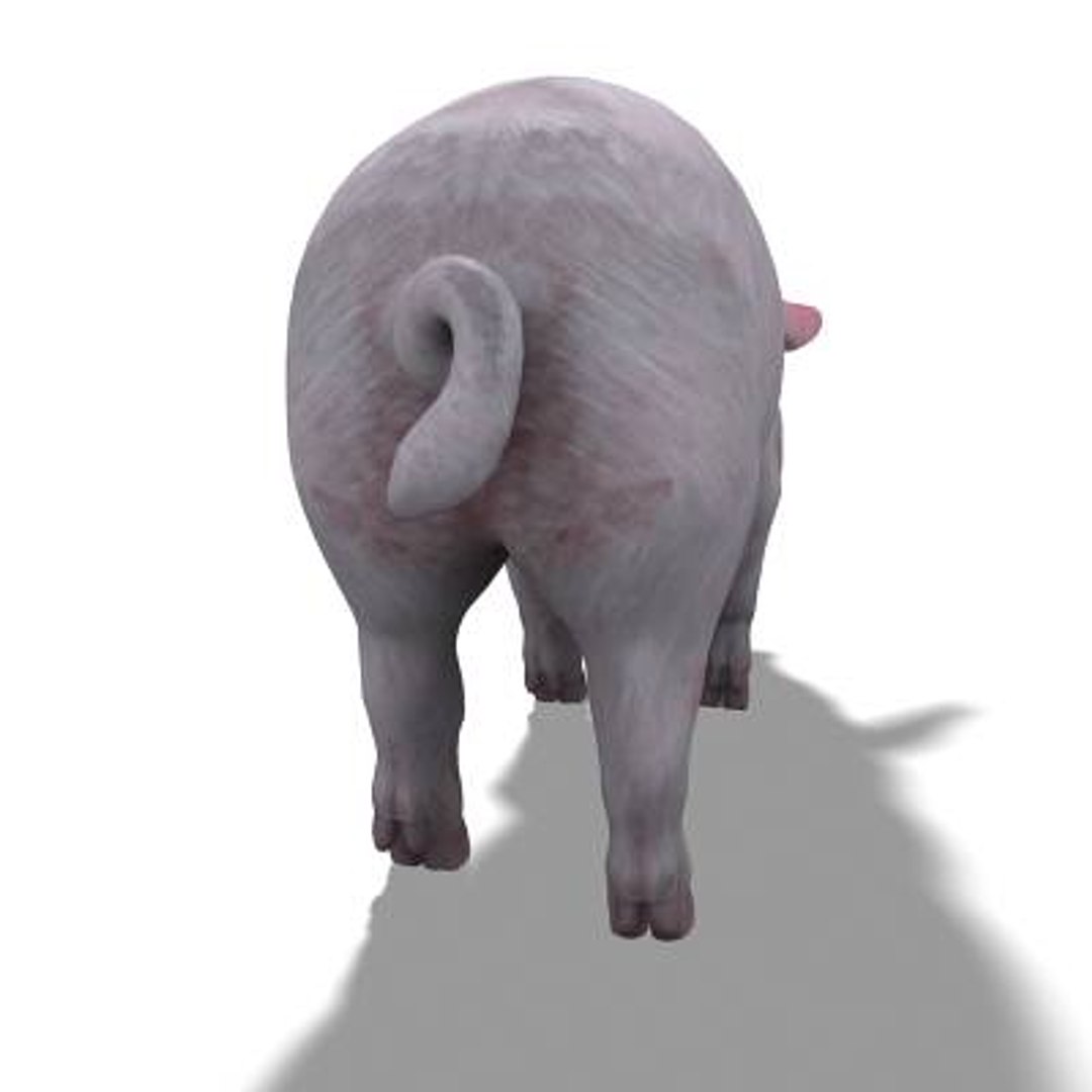 3d x pig rigged https://p.turbosquid.com/ts-thumb/Wl/feLlwV/puzXN1wt/pig05/jpg/1170171317/1920x1080/fit_q87/4af3923ef8f807ea2ff2aa13b1c343c160cf149b/pig05.jpg