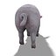 PIG 모델 조작 됨