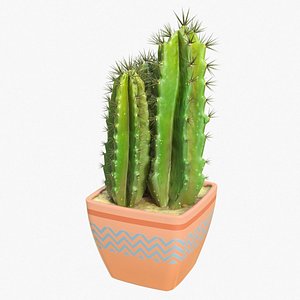 Cactus 01 a 3D model
