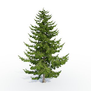 3d larch tree model