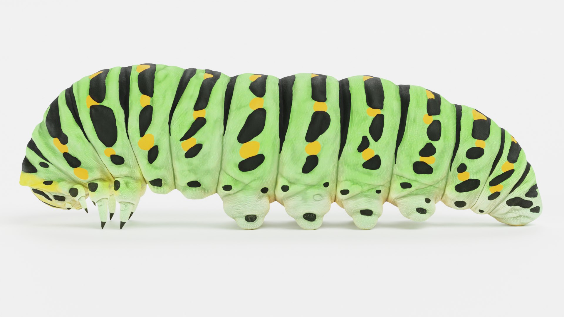 3D Insect - Huge Collection https://p.turbosquid.com/ts-thumb/Wm/Mz9r1J/JvnUhGjd/swallowtailcatterpillarb/png/1662844687/1920x1080/fit_q87/d7b696a234016c769ba45ea72cd991640d141e87/swallowtailcatterpillarb.jpg
