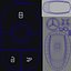 Mercedes Car Key