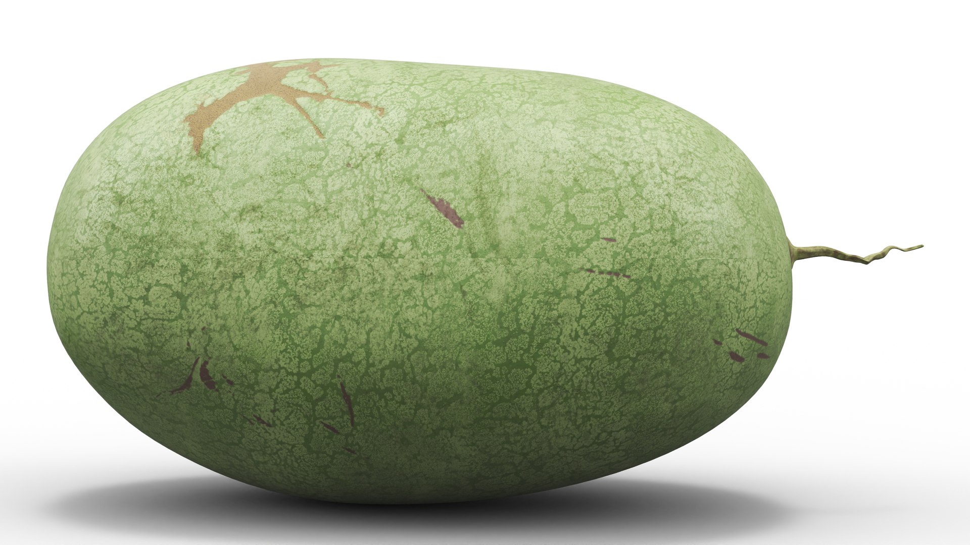 3D Watermelons Collection 2 https://p.turbosquid.com/ts-thumb/Wm/wAF4gN/K9/watermelons_collection_2_018/jpg/1702634178/1920x1080/fit_q87/d11b33199aeb00a444f9fdff7062b4e226959d3a/watermelons_collection_2_018.jpg