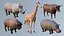Animals 1 3D model