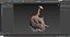 Animals 1 3D model