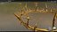 金冠荆棘 PBR 02