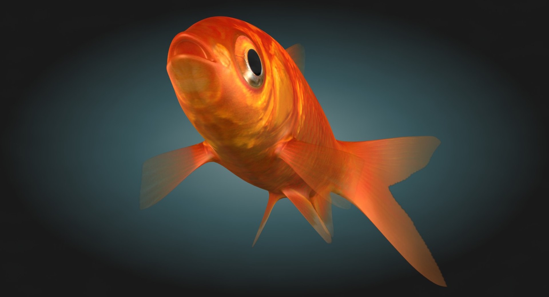 Goldfish rigged 3D model - TurboSquid 1287432