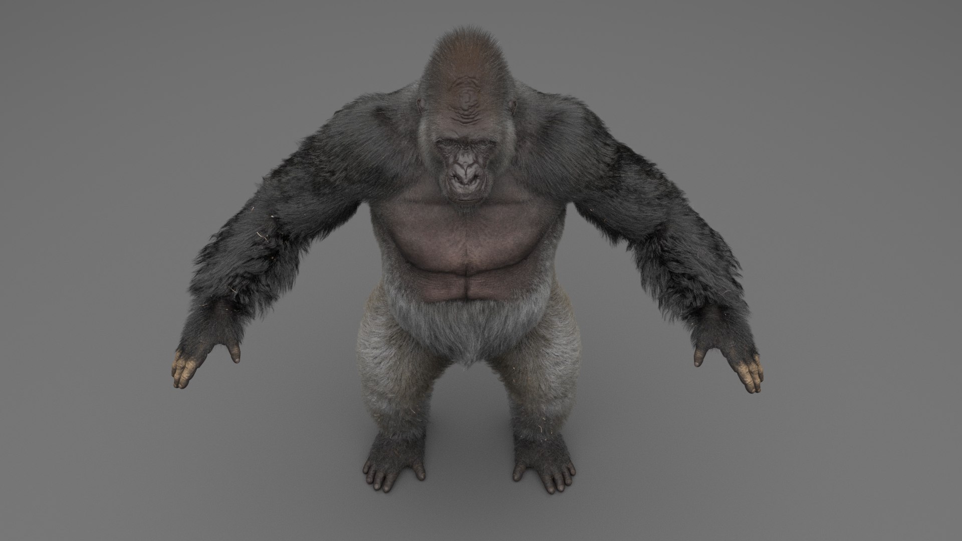 3D model Gorilla Rigged - TurboSquid 1818871