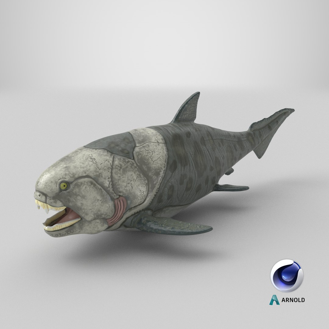 3D Dunkleosteus https://p.turbosquid.com/ts-thumb/Wn/7he2v9/4A/stemcell_cinema_4d_arnold_render/png/1778088409/1920x1080/fit_q87/919284899464ba0b218959c8f9377167b734bf05/stemcell_cinema_4d_arnold_render.jpg