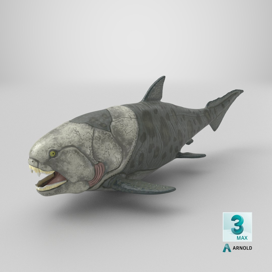 3D Dunkleosteus https://p.turbosquid.com/ts-thumb/Wn/7he2v9/91/stemcell_max_arnold_render/png/1778088415/1920x1080/fit_q87/80e3a1144aac235731f46e703608b1c91f44b328/stemcell_max_arnold_render.jpg
