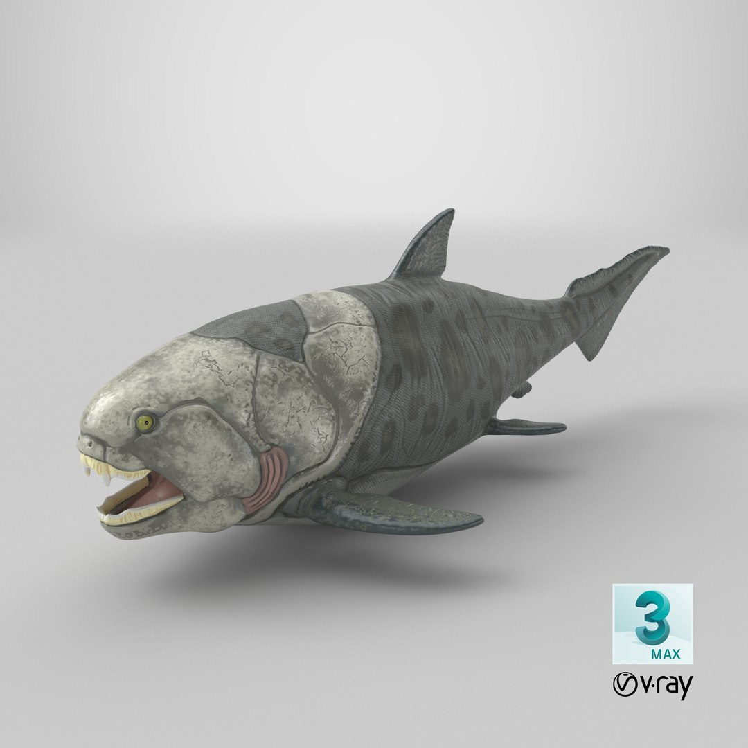 3D Dunkleosteus https://p.turbosquid.com/ts-thumb/Wn/7he2v9/JH/stemcell_max_vray_render/png/1778088413/1920x1080/fit_q87/79735c3b9591611ea740a6417fc772b248825417/stemcell_max_vray_render.jpg